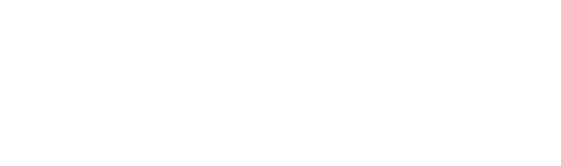 Domus Campers